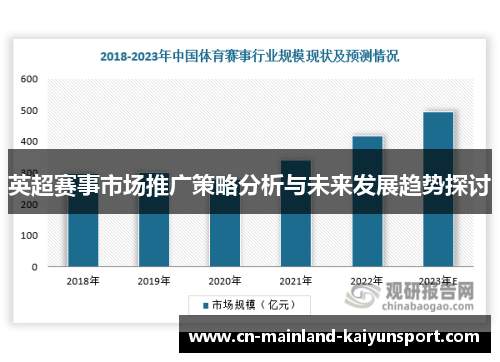 英超赛事市场推广策略分析与未来发展趋势探讨