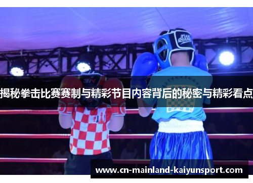 揭秘拳击比赛赛制与精彩节目内容背后的秘密与精彩看点