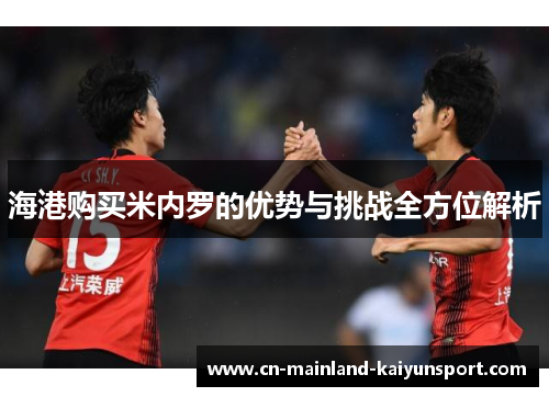 海港购买米内罗的优势与挑战全方位解析